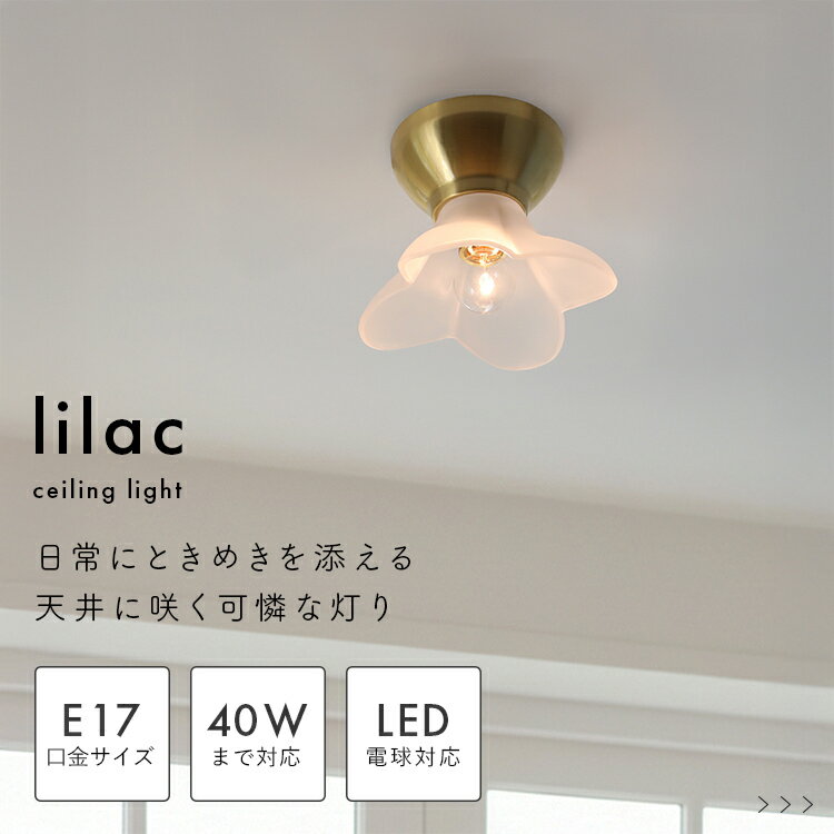 pelata シーリングライト1灯 lilac ライラック 【照明 北欧 おしゃれ 天井照明 直付け 照明器具 インテリア 電気 E17 ガラス 真鍮 かわいい トイレ 廊下 洗面所 寝室 LED 内玄関照明 新築 一人暮らし 花 kakko】