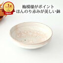 切立5.5寸鉢 粉引 梅紋 陶器 美濃焼 中鉢 切立鉢|おしゃれ かわいい 手仕事 和食器 日本製 ギフト プレゼント 結婚祝い