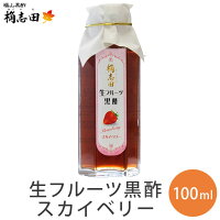 フルーツ酢 飲むお酢 飲む酢 黒酢ドリンク 果実酢 生 フルーツ黒酢 スカイベリー 100ml 酢 ドリンク 熟成黒酢 桷志田 かくいだ 福山黒酢