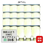 五一わいん カップワイン 白 120ml×20本 1ケース / 日本ワイン 飲みきりミニサイズ カップ酒 長野 桔梗ヶ原ワインバレー 行楽 BBQ お祝 集まり 晩酌◆送料無料(一部地域を除く)◆父の日 016626