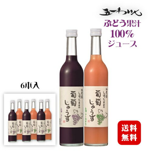 林農園 しぼったままの葡萄じゅうす 赤・白セット 500ml×各3本(計6本)【送料無料(一部地域を除く)】/ 五一わいん 長野県産 果汁100% じゅーす〔保存料・砂糖・着色料 無添加〕コンコード ナイヤガラ ぶどうジュース