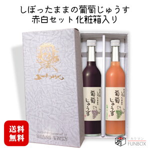 【ギフト】林農園 しぼったままの葡萄じゅうす 赤・白セット〔化粧箱入〕 500ml×各1本 / 五一わいん 長野県産 果汁100% 〔保存料・砂糖・着色料 無添加〕コンコード ナイヤガラ ジュース 2本入 ◆送料無料(一部地域を除く)◆