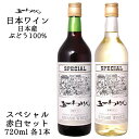 五一わいん スペシャル 赤白2本セット 720ml 各1本 / 日本ワイン 林農園 ライトボディ 長野県 父の日ANM 017332