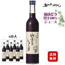 林農園 しぼったままの山ぶどうじゅうす 500ml×6本〔1ケース〕 / 五一わいん 長野県産 じゅーす 果汁100%〔保存料・砂糖・着色料 無添加〕ジュース◆送料無料(一部地域を除く)◆