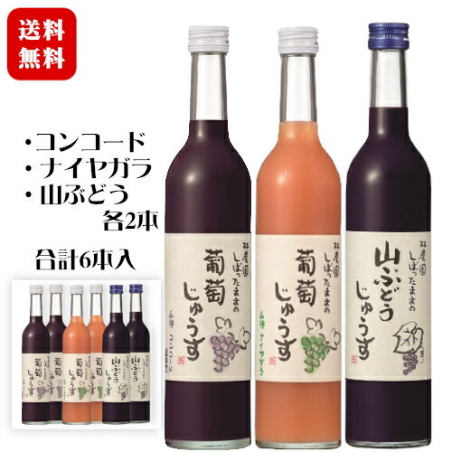 林農園 しぼったままの葡萄じゅうす 500ml 3種類×各2本セット〔1ケース〕 / 山ぶどう、コンコード、ナイヤガラ じゅーす 五一わいん 長野県産 果汁100%〔保存料・砂糖・着色料 無添加〕ぶどうジュース◆送料無料(一部地域を除く)◆