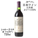 五一わいん シャトーゴイチ 赤 720ml / 日本ワイン 林農園 長野県 塩尻市 辛口 フルボディ