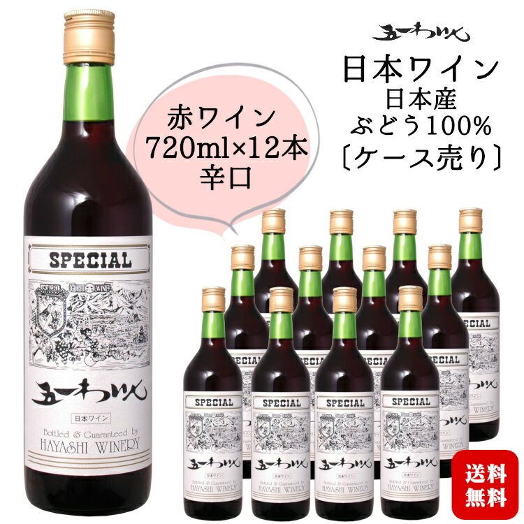 五一わいん スペシャル 赤 720ml×12本〔1ケース〕 / 日本ワイン 長野県 林農園 辛口 ライトボディ まとめ買い ◆送料無料（一部地域を除く）◆ ANM 016880