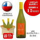 ネブリナ シャルドネ 750ml [12本セット] 15%OFF ＆ 送料無料 一部地域を除く  チリ セントラル・ヴァレー 白ワイン 辛口 neblina まとめ買い [ケース売り]