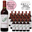 井筒ワイン スタンダード 赤 ハーフボトル 360ml×24本〔1ケース〕 / 日本ワイン 長野県産 中口 ライトボディ ハーフサイズ