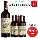 【2023年産】井筒ワイン 無添加コンコード〔赤・中口〕 720ml×6本セット〔1ケース〕 / 日本ワイン 長野県産 酸化防止剤不使用◆送料無料（一部地域を除く）◆ ANM 014284