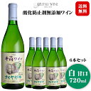 【2023年産】井筒ワイン 無添加ナイヤガラ〔白・甘口〕 720ml×6本セット〔1ケース〕 / 日本ワイン 長野県産 酸化防止剤不使用◆送料無料（一部地域を除く）◆ ANM 014285