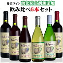 井筒ワイン【酸化防止剤無添加】飲み比べ6本セット〔コンコード 中口・甘口、ナイヤガラ 辛口・甘口、メルロー 中口、マスカットベリーA やや辛口〕720ml×各1本日本ワイン長野県産 2023年産 ANM 017398