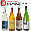 ワイン飲み比べセット 【国産ぶどう100%】たっぷり楽しめる 日本ワイン〔白〕飲み比べ一升瓶4本セット［1800ml×4本］/ 長野県産 1.8L 五一 エコノミー アルプス 葡萄棚 井筒 バンクエット 信濃ワイン 葡萄の調べ◆送料無料（一部地域を除く）◆ANM 014479