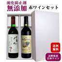 【ギフト】長野県産 無添加赤ワインセット〔化粧箱入〕/ アルプス信州酸化防止剤無添加樽熟 赤 井筒ワイン 2023年産 酸化防止剤無添加マスカットベリーA 720ml×2本セット やや辛口 プレゼント お酒 御歳暮◆送料無料（一部地域を除く） ANM 016527