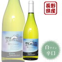 サンクゼール シオン / シャルドネ 長野県産100% 日本ワイン 白 st.cousair ZION