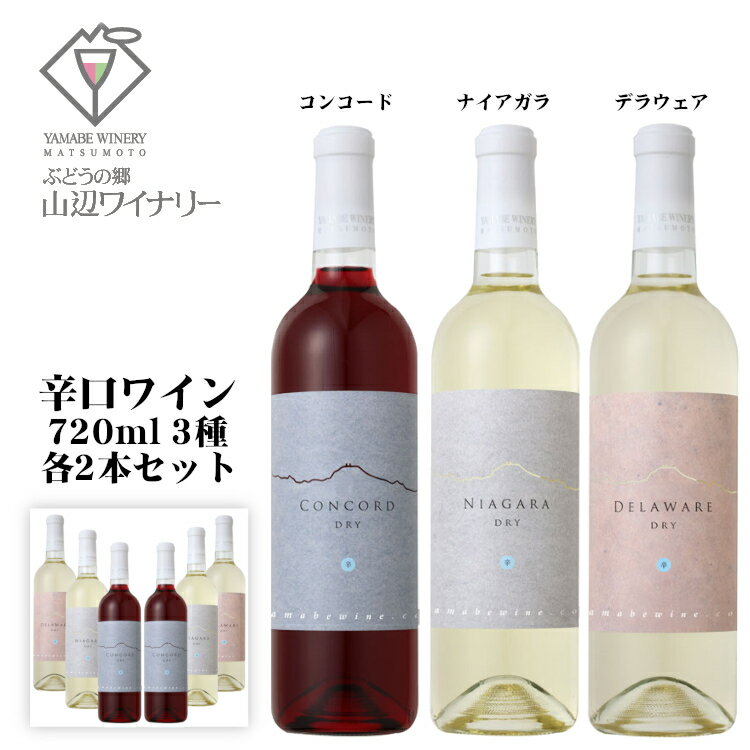山辺ワイナリー 辛口ワイン 6本セット[ 3種 各2本 ] / コンコード ナイアガラ デラウェア 720ml 日本ワイン 長野県産 赤白ワインセット