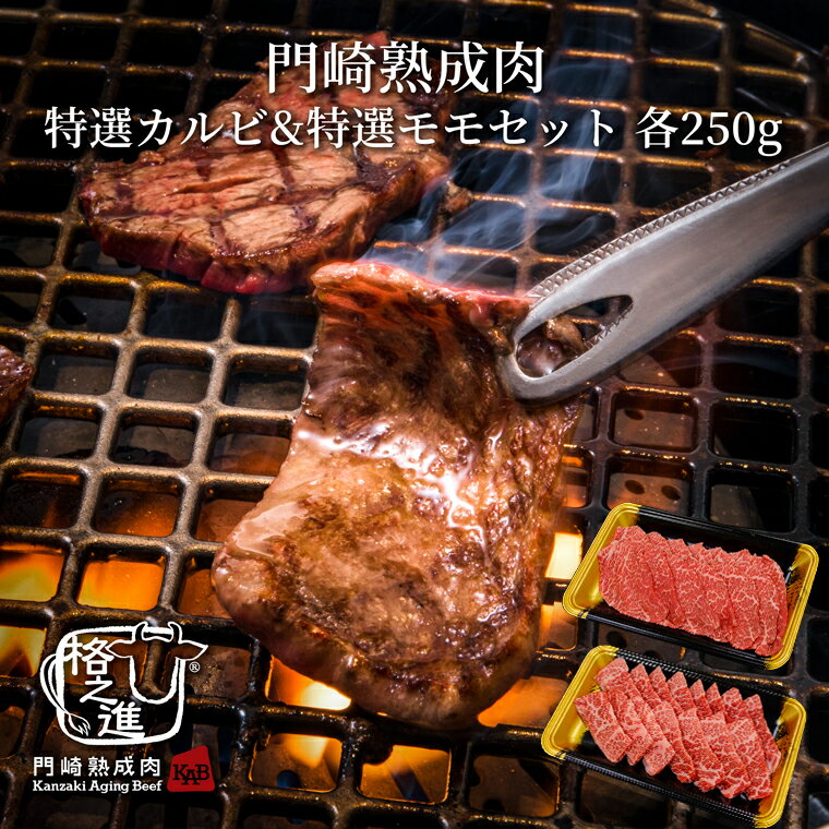 熟成肉 焼肉 セット 和牛 国産 黒毛和牛 ギフト 送料無料 格之進 門崎 特選セット （特選カルビ&特選モモ）