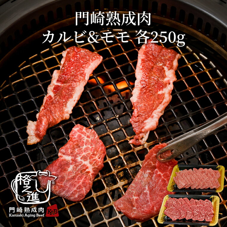 熟成肉 焼肉 セット 和牛 国産 黒毛和牛 ギフト 送料無料 格之進 門崎 セット （カルビ&モモ）