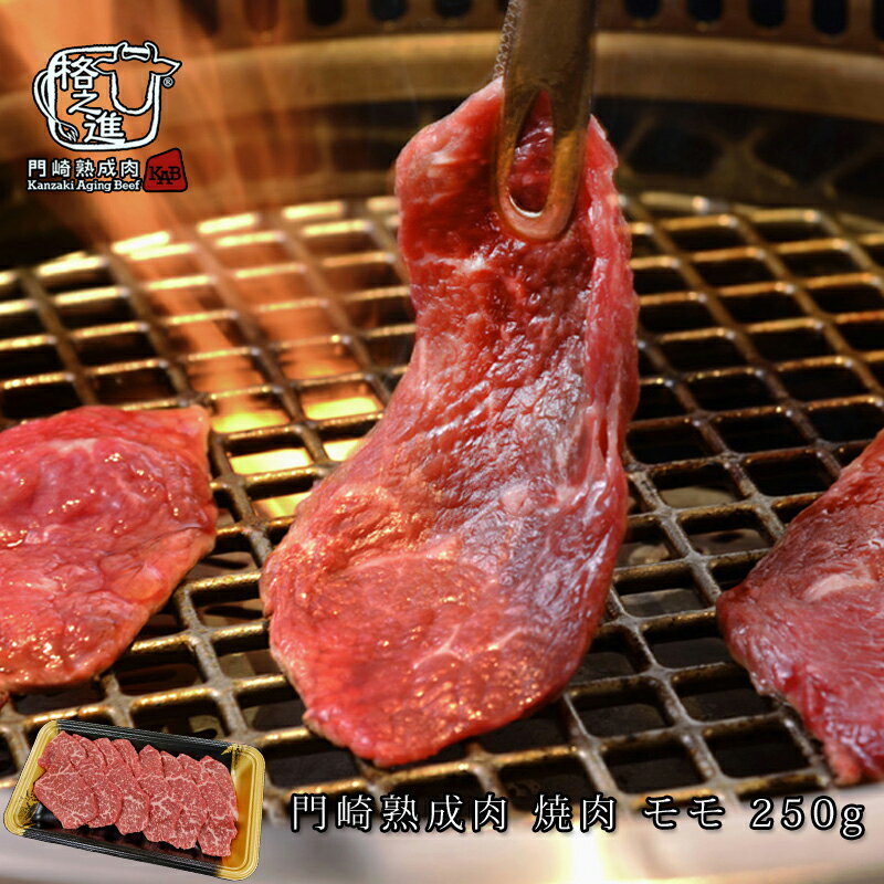 高級肉（5000円程度） 熟成肉 焼肉 和牛 国産 黒毛和牛 ギフト 送料無料 格之進 門崎 モモ （250g）