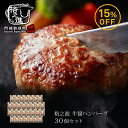 牛醤ハンバーグ ギフト 冷凍 お取り寄せ 送料無料 格之進 （30個セット） 国産 牛肉 白金豚 無添加