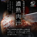 牛醤ハンバーグ ギフト 冷凍 お取り寄せ 送料無料 格之進 （10個セット） 国産 牛肉 白金豚 無添加（新パッケージ） 2