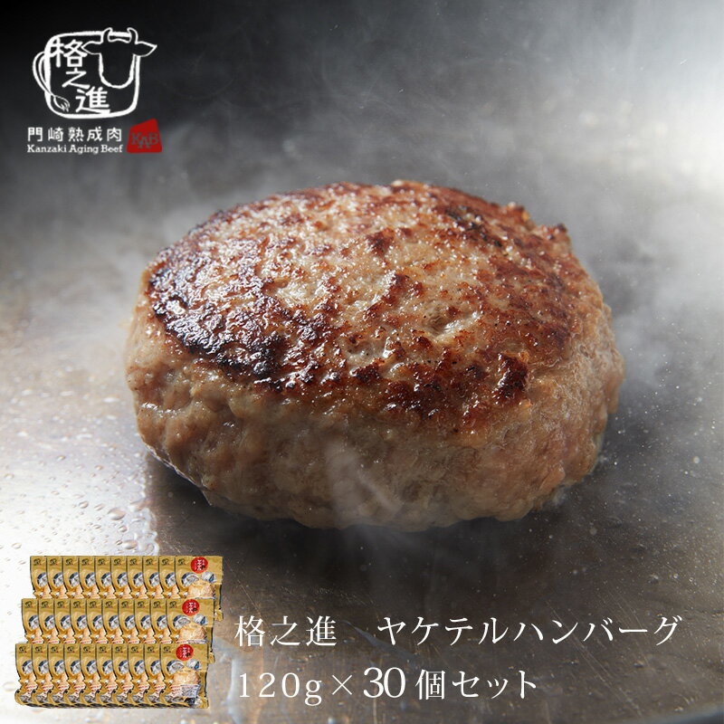 ☆デミグラスソースが美味しい煮込みハンバーグ K20322034