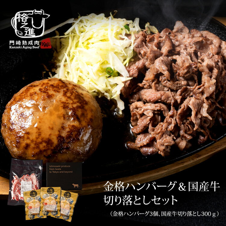 格之進 ハンバーグ 格之進 ハンバーグ お肉 セット（金格3個 国産牛 切り落とし 300g） 無添加 送料無料 冷凍 牛肉 ギフト 焼肉 小分け