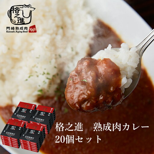 ビーフカレー レトルト ギフト 防災 送料無料 格之進 門崎 熟成肉カレー 20個セット(1袋/160g) ビーフカレー レトルト ギフト 防災 送料無料 格之進 門崎 熟成肉カレー 20個セット(1袋/160g)