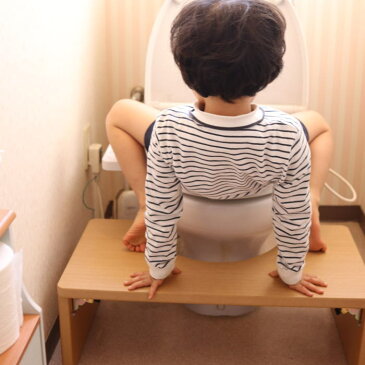 「大川家具」お家のトイレが幼児用トイレに大変身！置くだけ簡単 トイレトレーニング 踏み台　カラータイプ プリント ナチュラルオーク色 トイレ専用タイプ 　ふたなし