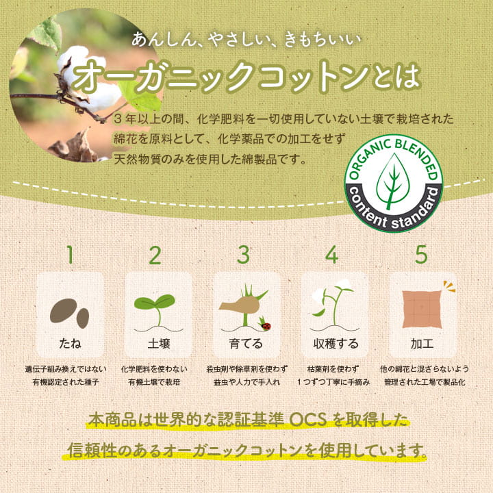 クッション 寄りかかり 日本製 オーガニックコットン 綿100% ボーダー 洗える 背もたれ ベージュ 約55×35×25cm