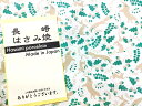 【 10/30 23:59まで 20%割引クーポン+P10倍セール】 包装 動物