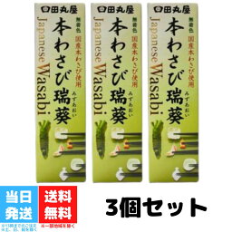 田丸屋本店 静岡本わさび わさび チューブ 42g 3個セット 山葵 静岡 無着色 本わさび 水葵 瑞葵 調味料 送料無料