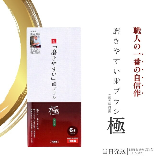 歯ブラシ職人 田辺重吉考案 LT-53 磨きやすい 歯ブラシ 極 ふつう 先細毛 6本セット 小さめヘッド ハブラシ 歯磨き 歯みがき 送料無料