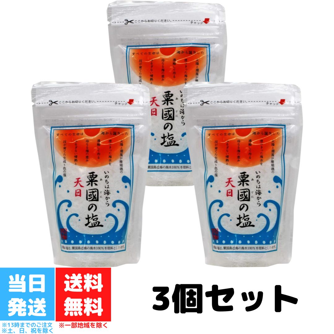 粟國の塩 天日 100g 3個セット 沖縄海塩研究所 塩 しお 沖縄の塩 天日塩 天日海塩 天然塩 食塩 ソルト 天日 海水 天日干し ご当地 調味料 高級 沖縄 ご当地 送料無料