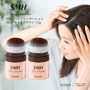 SMH ヘアファンデーション No.3 ライトブラウン 12g スーパーミリオンヘアー 白髪隠し ファンデーション カバー 2個セット 送料無料