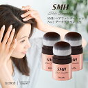 SMH ヘアファンデーション No.2 ダークブラウン 12g スーパーミリオンヘアー 白髪隠し ファンデーション カバー 3個セット 送料無料