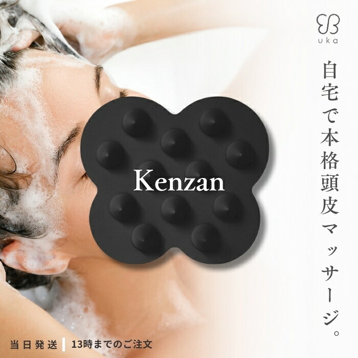 ウカ スカルプブラシ ケンザン スカルプブラッシュ シャンプーブラシ イオンブラシ 頭皮ケアブラシ ヘ..