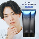 アースハート スタイリングウェット ハード 2個セット EARTHEART ジェルワックス 美容室 ツヤ感 セット力 ウェット 質感 束感 ヘアスタイル スタイル アリミノ 送料無料