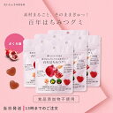 だいじょうぶなもの 百年はちみつグミ ざくろ味 6個セット ナチュラルグミ ギルトフリー はちみつ ざくろ 健康 美容 女性 子ども 大人 お菓子 おいしい た...