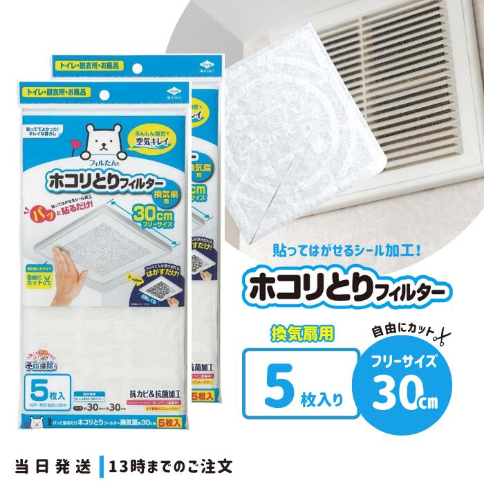 フィルたん 東洋アルミ ホコリ取りフィルター 換気扇 フィルター 30cm 5枚入り 2セット