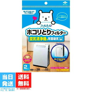 フィルたん ホコリとり フィルター 空気清浄機用 東洋アルミ 背面吸気タイプ 2枚入 送料無料