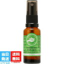 パーフェクトポーション ブリーズイージー マスクスプレー 25ml PERFECT POTION マスク アロマ スプレー マスク用スプレー 花粉 ウィルス 花...