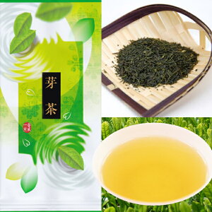 【新茶予約5月上旬発送】お茶 静岡茶 深蒸し茶 芽茶 100g 2024年産 送料無料 菊川産【10個ご購入で、、プラス2個サービス！】