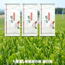 【新茶予約5月上旬発送】【244円お得】お茶 一番茶 菊石 100g×3袋 2024年産 送料無料 深蒸し煎茶 菊川茶 2023年産【深蒸し茶用急須をお使いください】