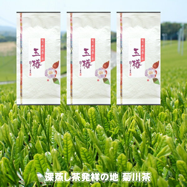 【新茶発送できます】【592円お得】お茶 一番茶 玉椿 100g×3袋 2024年産 送料無料 深蒸し煎茶 菊川茶 【深蒸し茶用急須をお使いください】