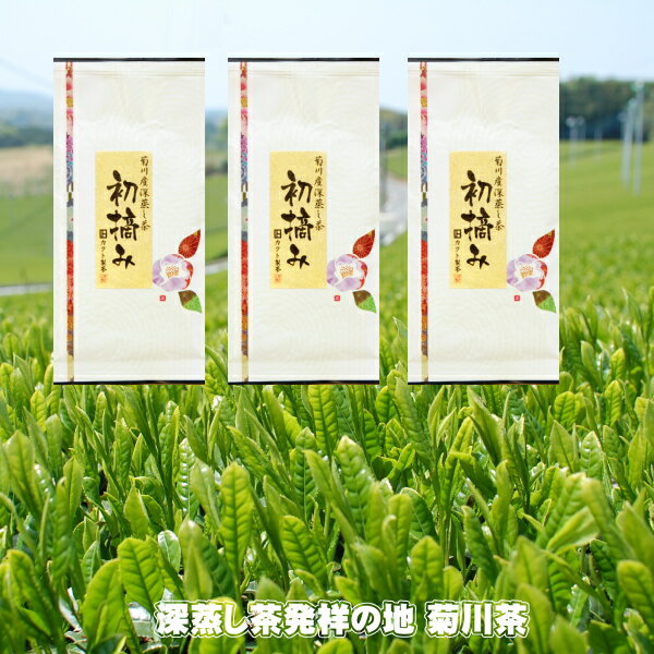 楽天お茶のカクト楽天市場店【新茶発送できます】【1,008円お得】お茶 最高級一番茶 初摘み 100g×3袋 2023年産 送料無料 深蒸し煎茶 菊川茶【深蒸し茶用急須をお使いください】