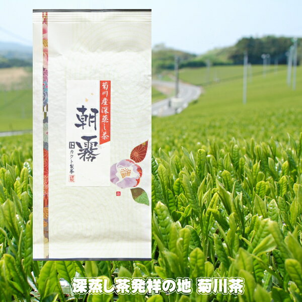 【新茶発送できます】お茶 一番茶 朝霧 100g 2024年産 送料無料 深蒸し煎茶 菊川茶 【深蒸し茶用急須をお使いください】10個ご購入でプラス2個サービス 