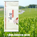 【新茶発送できます】お茶 一番茶 朝霧 100g 2024年産 送料無料 深蒸し煎茶 菊川茶 【深蒸し茶用急須をお使いください】10個ご購入でプラス2個サービス 