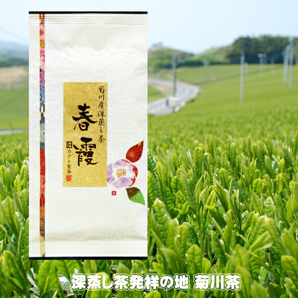 【新茶発送できます】お茶 一番茶 春霞 100g 2024年産 送料無料 深蒸し煎茶 菊川茶 【深蒸し茶用急須をお使いください】10個ご購入でプラス2個サービス 