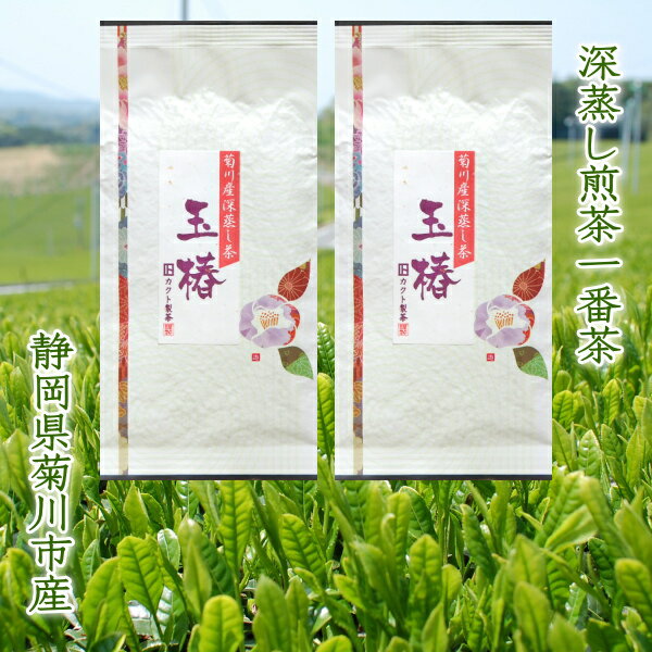 2025年産 お茶 一番茶 玉椿 【100g、100gx3】 送料無料 深蒸し煎茶 菊川茶 2025年産 【深蒸し茶用急須をお使いください】単品10個ご購入でプラス2個サービス！